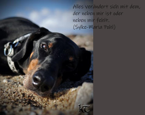 Alles verändert sich mit dem, der neben mir ist oder neben mir fehlt.  (Sylke-Maria Pohl)