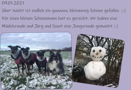 09.01.2021 Über Nacht ist endlich ein gaaaanz kleinwenig Schnee gefallen  ;-) Für einen kleinen Schneemann hat es gereicht. Wir haben eine Mädelsrunde und Jörg und Scout eine Jungsrunde gemacht ;-)