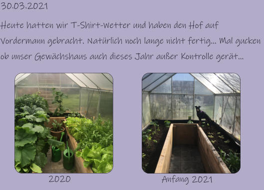 30.03.2021 Heute hatten wir T-Shirt-Wetter und haben den Hof auf Vordermann gebracht. Natürlich noch lange nicht fertig… Mal gucken ob unser Gewächshaus auch dieses Jahr außer Kontrolle gerät… 2020 Anfang 2021