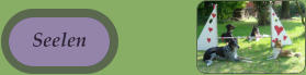 Seelen Seelen