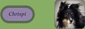 Chrispi Chrispi
