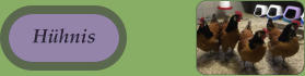 Hühnis Hühnis