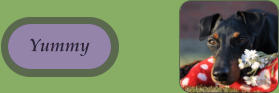 Yummy Yummy